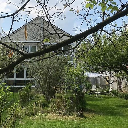 Rebenlaub Apartman Heringen  Kültér fotó